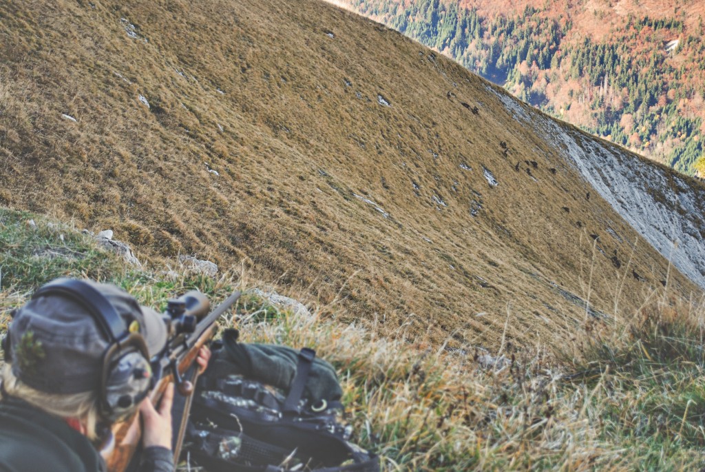 Ein Rudel Gamswild im alpinen Hang. Im französischen Les Bauges ein norma- ler Anblick, beherbergt die Region doch einen außergewöhnlich hohen Bestand. ©Caroline Richter-Bonini