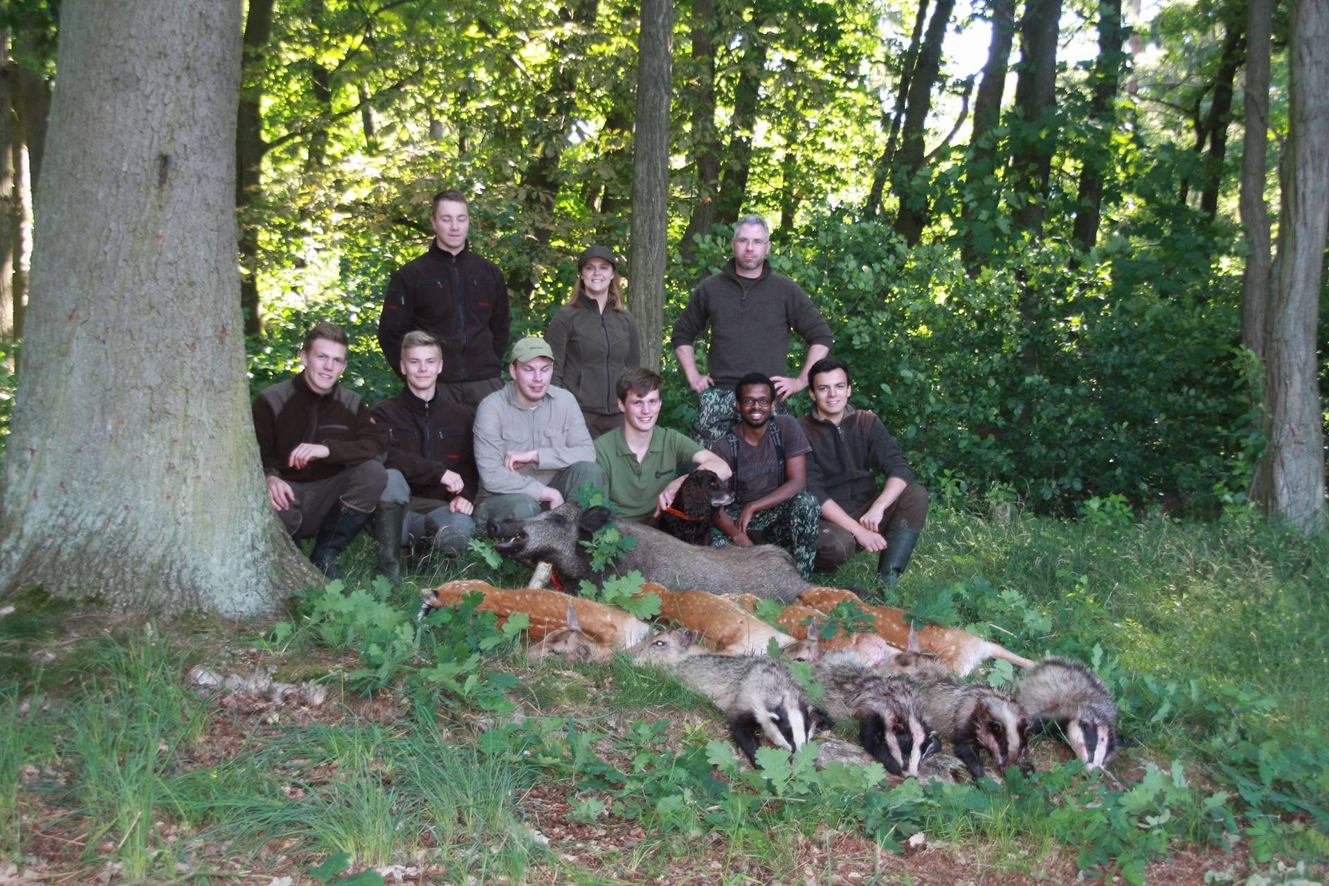 jaegermagazin wilddiebe Jungjäger Damwild dreispross