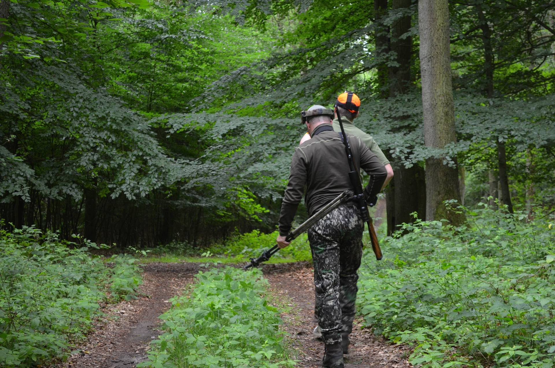 jaegermagazin wilddiebe Jungjäger Damwild dreispross