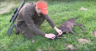 Gerolds schwarzer Moorbock