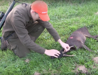 Gerolds schwarzer Moorbock