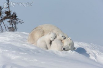 Neues vom Sorgenkind