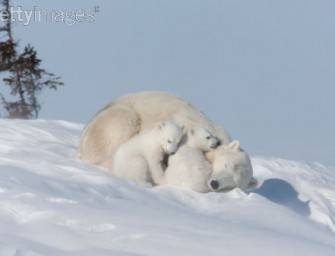 Neues vom Sorgenkind