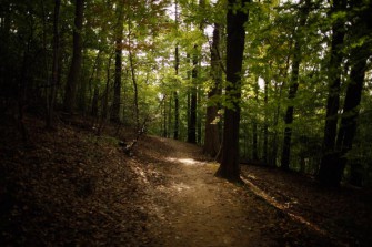 Sensationeller Erfolg für Produktion „Mythos Wald“.