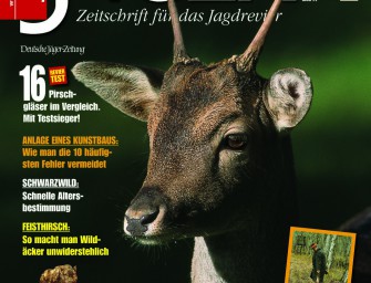 März 2008: Wildbret