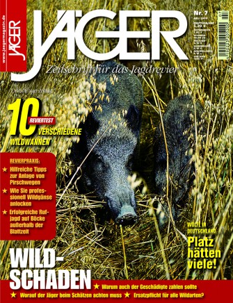 Juli 2008: Wildschaden