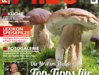 Neues Sonderheft aus dem Jahr Top Special Verlag