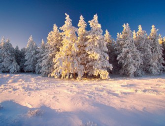 Auf zum letzten Treiben