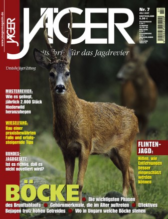 Juli 2007: BÖCKE