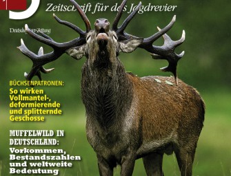 September 2007: ROTWILDBRUNFT: Tips zum Bestätigen und Ansprechen von Hirschen