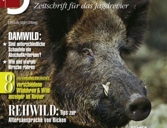 ausgabe1007: SCHWARZWILD – So intelligent sind Sauen!