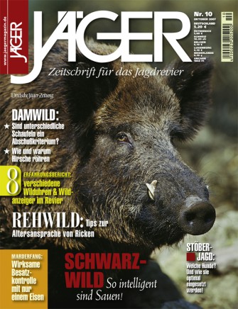 ausgabe1007: SCHWARZWILD – So intelligent sind Sauen!