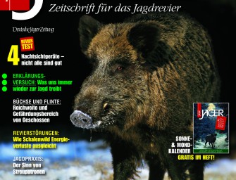 Februar 2008: SCHWARZWILD