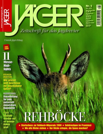 Mai 2008: Rehböcke