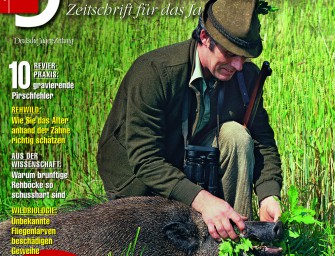 Juni 2008: Sauenbejagung