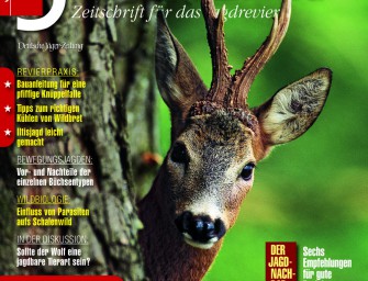 August 2008: Titelthema: Blattjagd