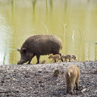 Mehr Licht ins Dunkle