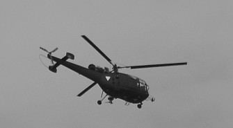 Rüde Methoden gegen Sauplage