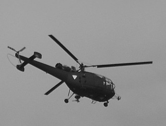 Rüde Methoden gegen Sauplage