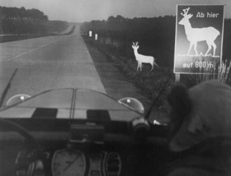 Bundesprogramm Wiedervernetzung