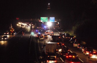 Wildschwein löst Katastrophe aus