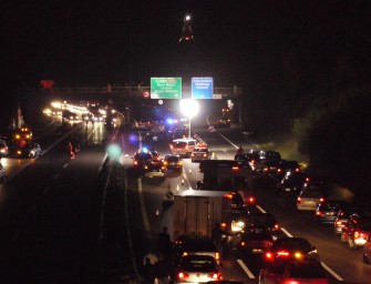 Wildschwein löst Katastrophe aus