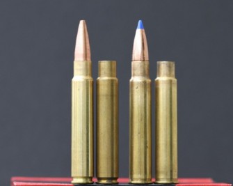 Kontest unter den Augen des Meisters