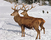 Niedersachsen: Erste Notzeiten aufgehoben