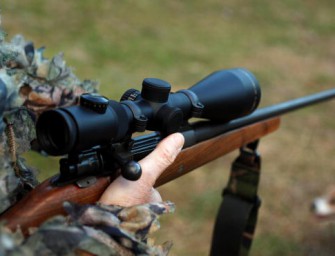 Jagdunfall  Geldstrafe für den Schützen