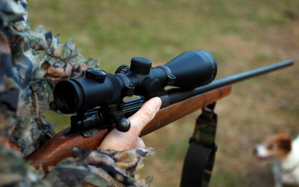 Conservation Hunting In New South Wales