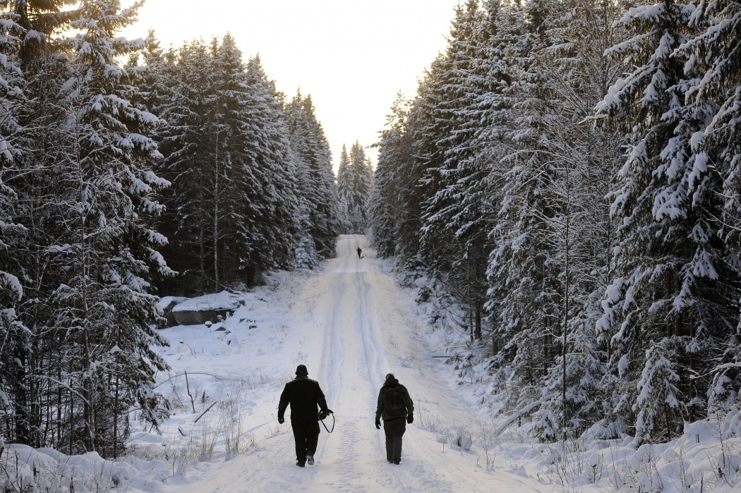 Hunters attend a wolf hunt on january 2,