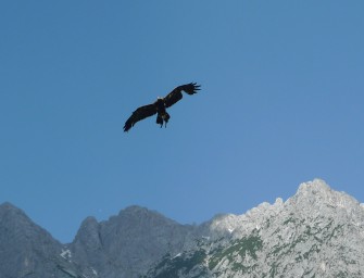 „Die Magie der Mongolei“