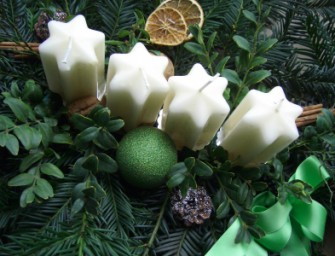 Adventsstimmung aus den Berliner Forsten