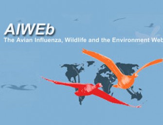 Broschüre zur Geflügelpest