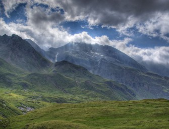 Bär zurück – dennoch keine Jagdzeit in der Schweiz