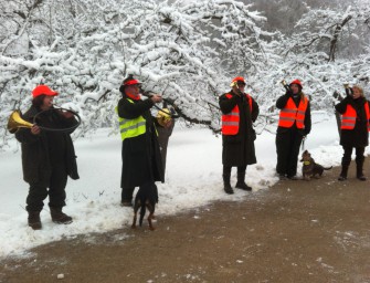 357.114 Jagdscheine gelöst