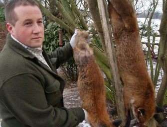 Rekordfuchs in England erlegt