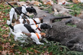 Achtung, Virenalarm!