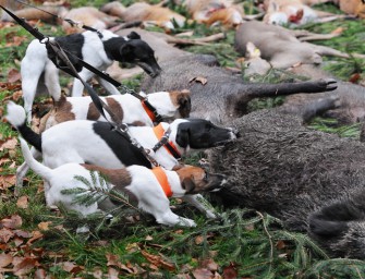 Achtung, Virenalarm!