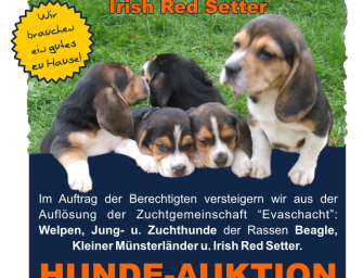 Warnung vor Jagdhunden aus Schwarzzucht