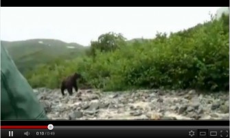 Video: Bärenangriff in Alaska