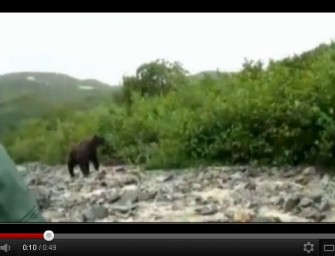 Video: Bärenangriff in Alaska