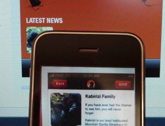 Den Berggorilla mit dem IPhone schützen.