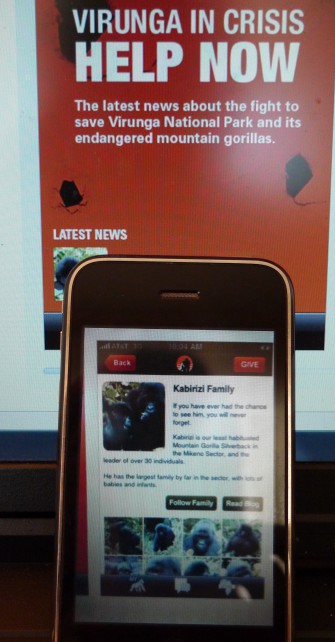 Den Berggorilla mit dem IPhone schützen.