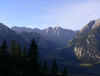 Schweiz – Treiber tödlich verunglückt