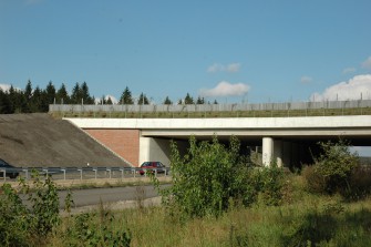 Schleswig-Holstein: Erstmals Rotwild auf der Grünbrücke