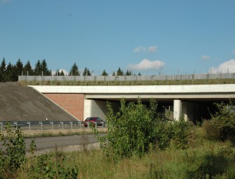 Schleswig-Holstein: Erstmals Rotwild auf der Grünbrücke