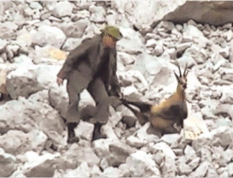 Jagdgast quält kranke Gams