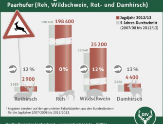 Wildunfälle nur die Eisbergspitze