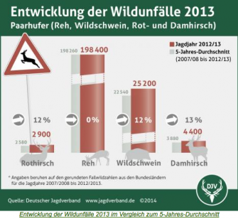 Wildunfälle nur die Eisbergspitze